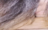 Amateur - Asian - Blowjob - MILF - Old & Young - POV - Orgasm - Cum in Mouth - Cum Swallowing - Cowgirl
