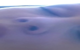 Amateur - Sex Toy - Lesbian - Teen (18+) - Dildo - Vibrator - Eating Pussy - Homemade - Couple - Female Masturbation